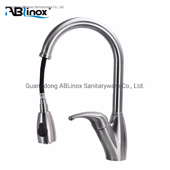 Grifo de cocina extraíble en frío con cartucho Sedal y caliente de una sola manija de acero inoxidable Cupc